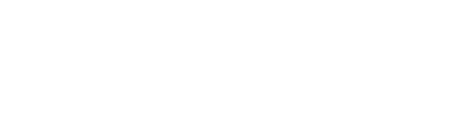 BSC Logo